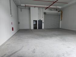 Ct Foodnex (D25), Factory #481528861